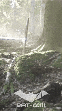 26_09_20_Giromagny_v N°252 V0472