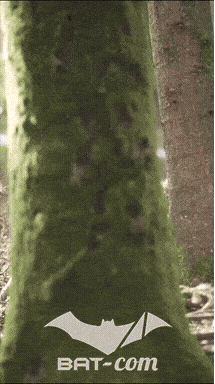 26_09_20_Giromagny_v N°255 V0747