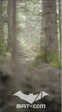 26_09_20_Giromagny_v N°262 V0724