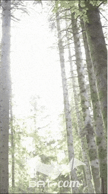26_09_20_Giromagny_v N°27 V0561