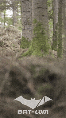 26_09_20_Giromagny_v N°272 V0710