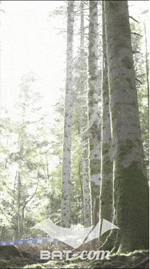 26_09_20_Giromagny_v N°28 V0638