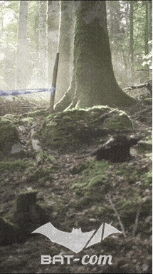 26_09_20_Giromagny_v N°34 V0624