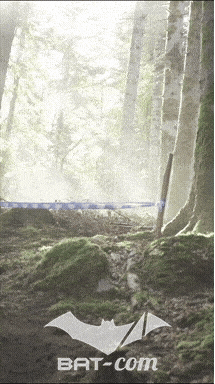 26_09_20_Giromagny_v N°37 V0625