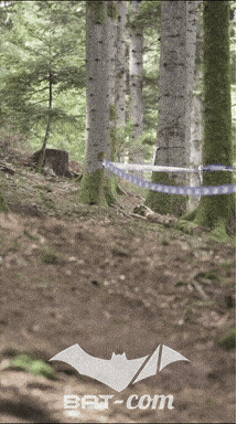26_09_20_Giromagny_v N°37 V0861