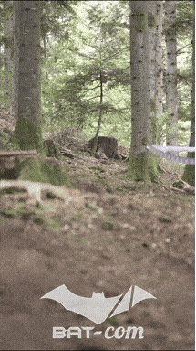 26_09_20_Giromagny_v N°38 V0896