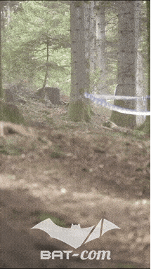 26_09_20_Giromagny_v N°52 V0838