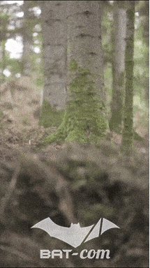 26_09_20_Giromagny_v N°54 V0714