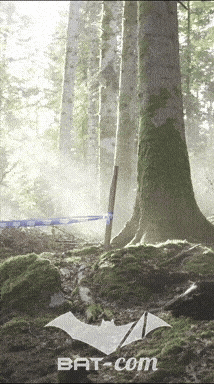 26_09_20_Giromagny_v N°66 V0626