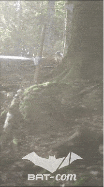 26_09_20_Giromagny_v N°67 V0507
