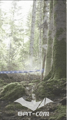 26_09_20_Giromagny_v N°75 V0592