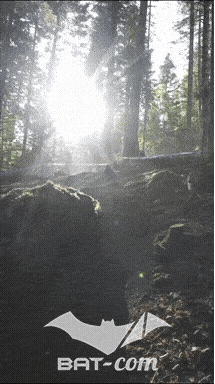 26_09_20_Giromagny_v N°78 V0516