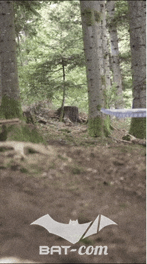 26_09_20_Giromagny_v N°85 V0877