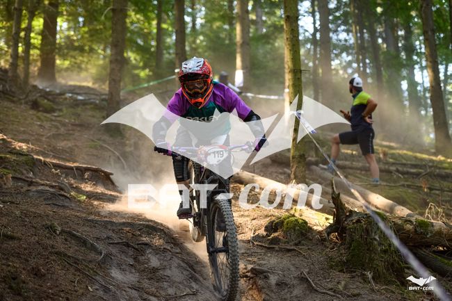 26_09_27_WissDam N°119 P2355