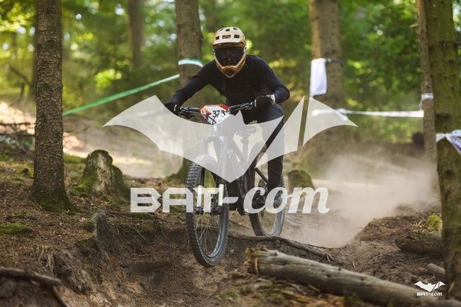 26_09_27_WissDam N°375 P2847