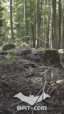 26_09_27_Wissembourg_v N°249 V0141